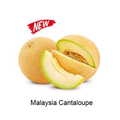 VAPELF – MALAYSIA CANTALOUPE – CONCENTRATED FLAVOURS – 10ML